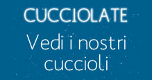 Vedi i nostri cuccioli