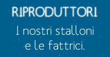 Vedi gli stalloni e le fattrici