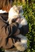 Foto Cuccioli
